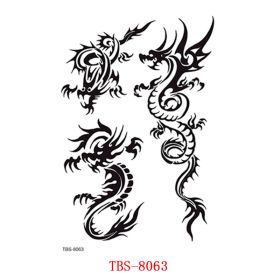 Waterproof Tattoo With Totem Characters (Option: 8063)